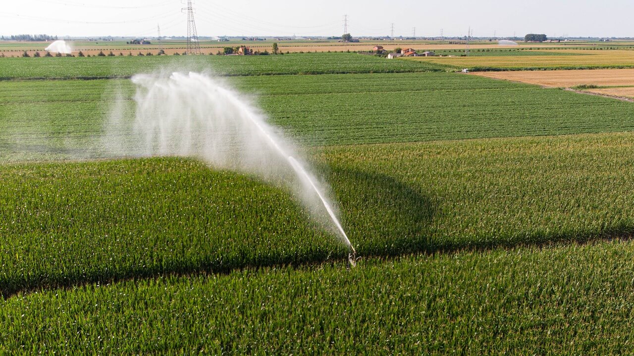 Crop-Irrigation